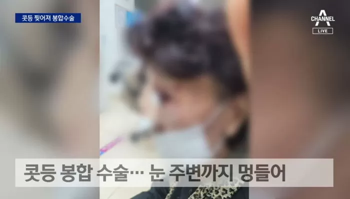 인사이트