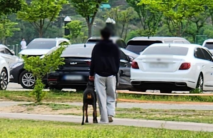 어린 아이들 몰려오는 공원서 도베르만 산책 시킨 견주...“입마개 해야 vs 맹견 아냐”