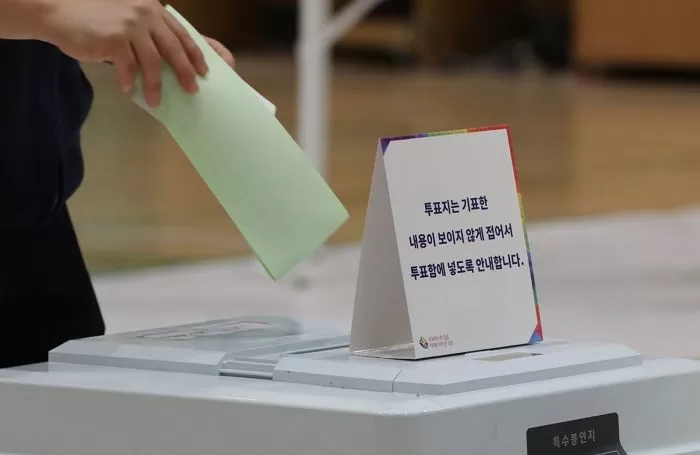 인사이트
