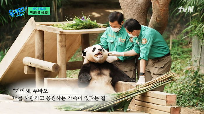 ‘에버랜드 출신’ 푸바오, 영화 여주인공 데뷔한다...9월 개봉 예정