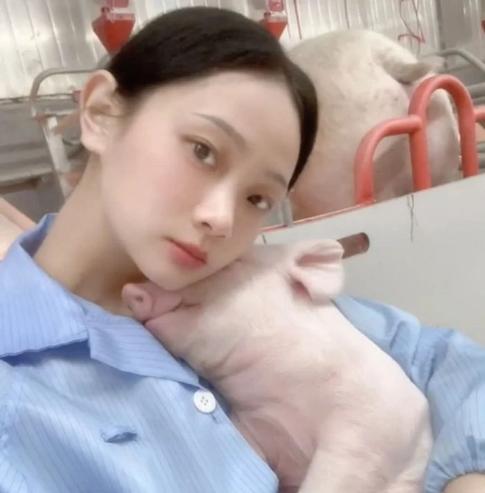 대학 졸업하고 들어간 회사 때려치우더니...동물 너무 좋다며 ‘돼지 농장’ 선택한 20대 미녀