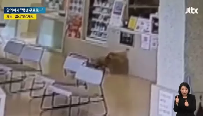 인사이트