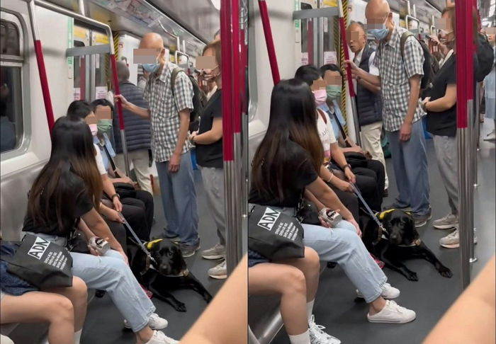 시각장애인 주인이 자기 때문에 할아버지한테 욕설 듣자 시무룩해하는 안내견