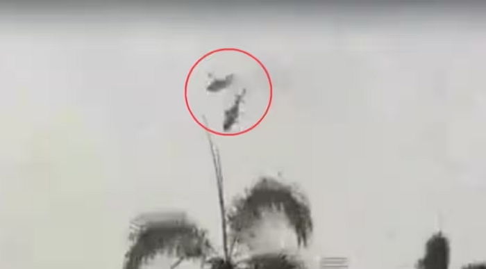 말레이시아 해군 헬기 2대 공중 충돌...타고 있던 10명 사망