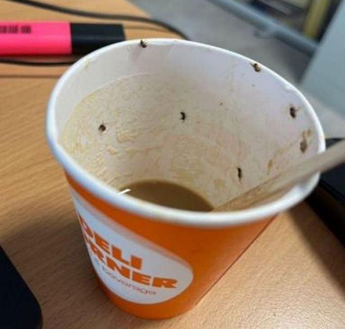 자판기에서 뽑은 커피 마신 20대 여성 중환자실로 이송...종이컵 안 살펴보니 ‘벌레’ 가득