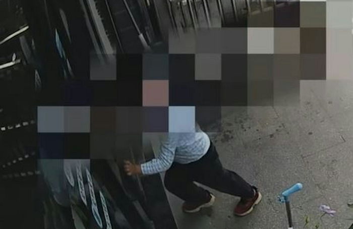펫샵 강아지 훔쳐 17층에서 던져 죽인 7살 소년...부모는 사과 없이 보상금 40만원 건네