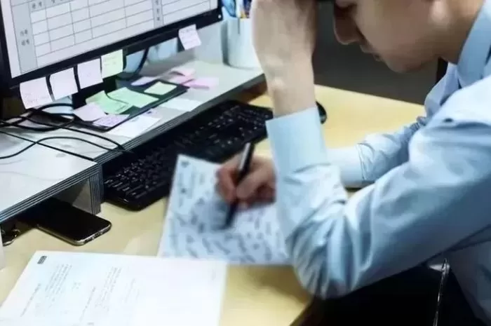 인사이트