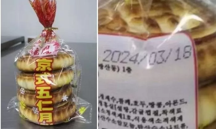 인사이트
