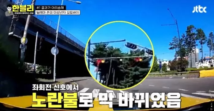 인사이트