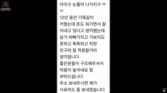 인사이트