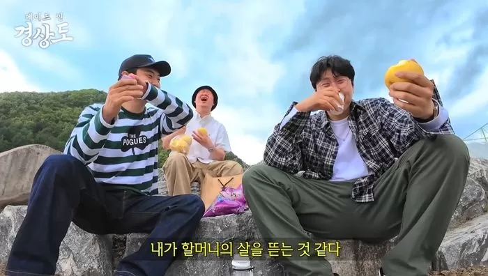 인사이트