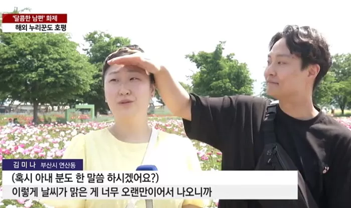 인사이트