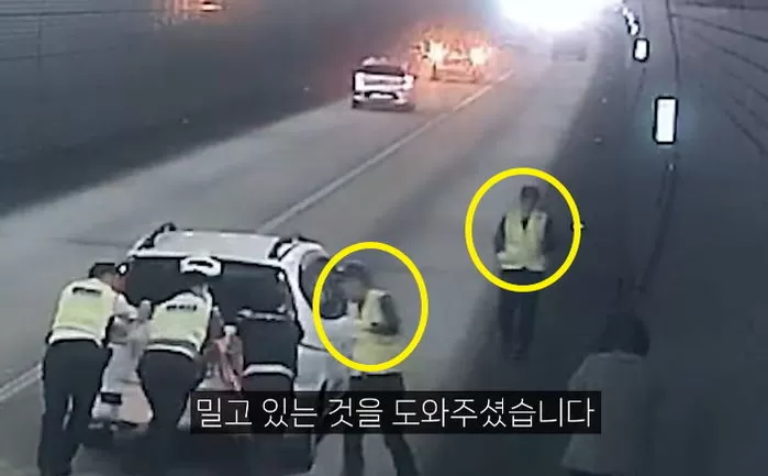 인사이트