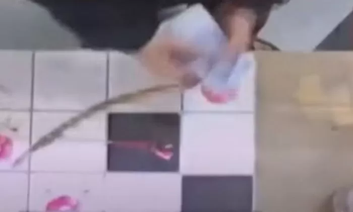 인사이트