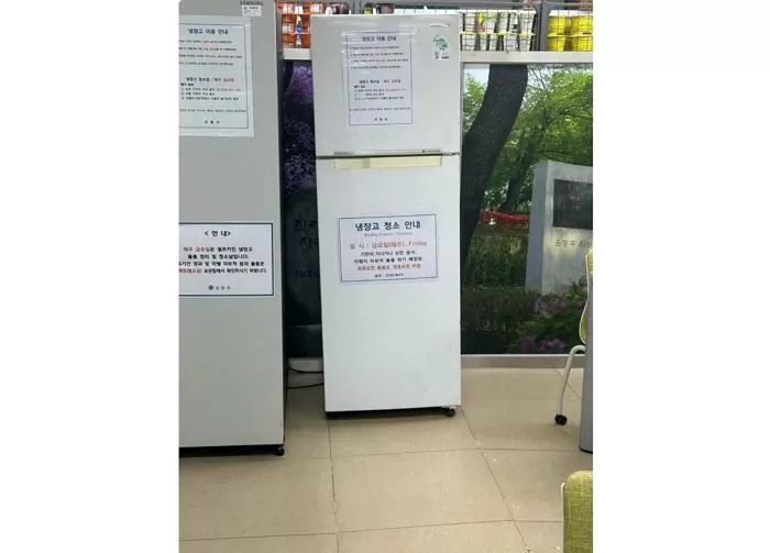인사이트