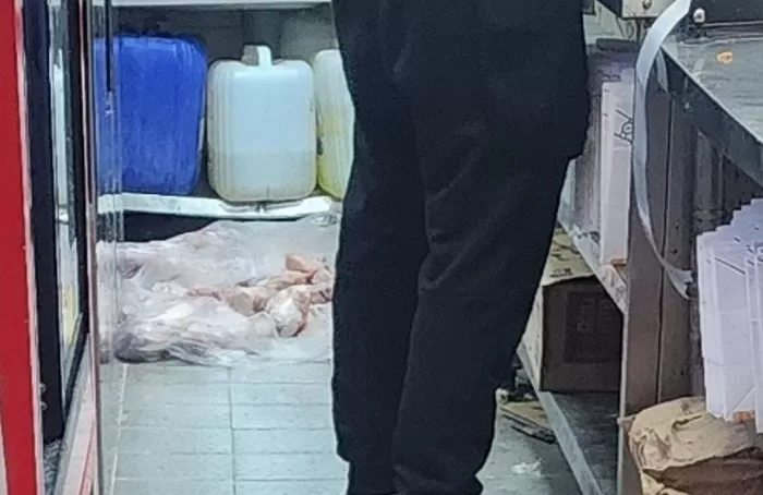 인사이트