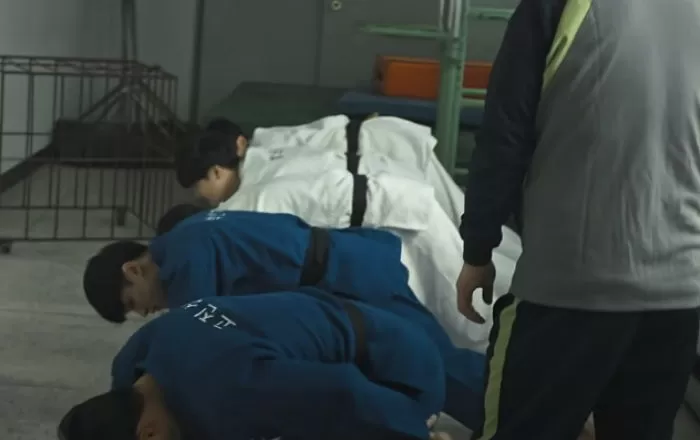 인사이트