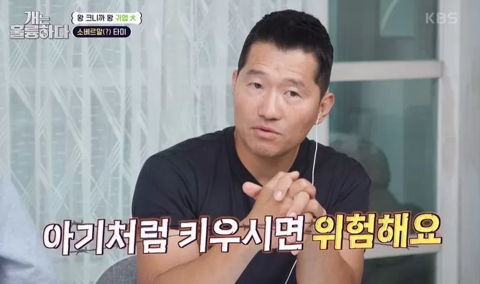 KBS2 '개는 훌륭하다'