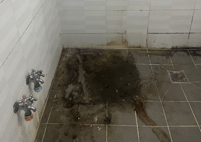 화장실 뒤덮은 곰팡이에 사라진 문고리까지...전세 세입자가 7년 살고 나간 충격적인 집 상태