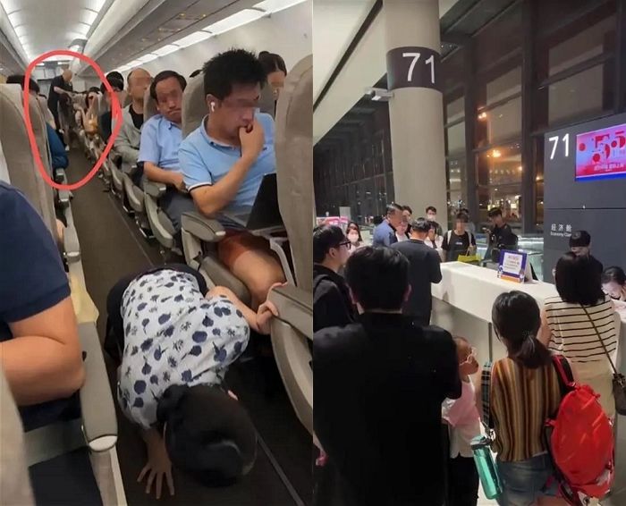 ‘햄스터’ 몰래 데리고 탄 승객 때문에 비행기 못 떠 발 묶인 승객들 (영상)