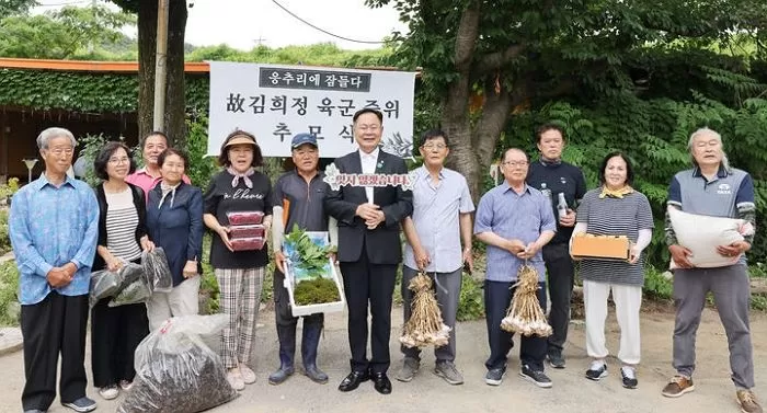 인사이트