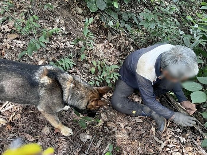 30명이 5일째 못 찾던 실종자 단 25분 만에 구조한 댕댕이 고고...하루에 2명 구했다