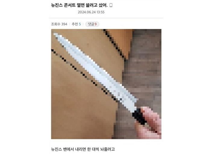 “밴에서 내리면 한 대씩”...뉴진스에 ‘칼부림’ 예고한 디시인사이드 누리꾼