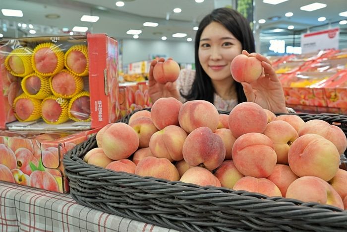 롯데마트, 한국판 납작복숭아인 ‘대극천 복숭아’ 합리적인 가격에 선봬