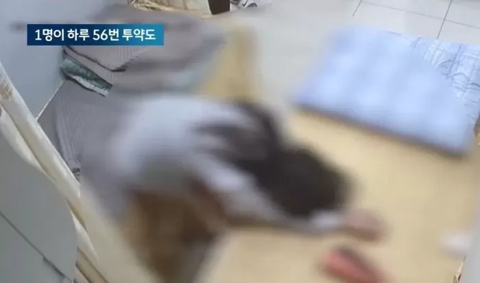 인사이트