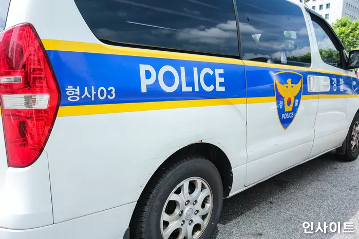 인사이트