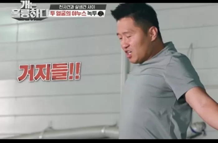 인사이트