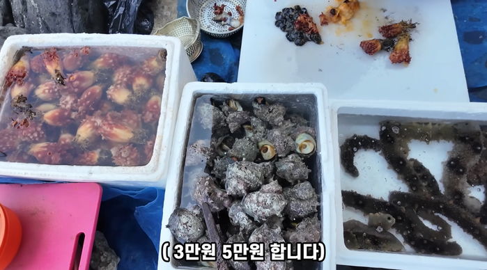 제주도민도 속수무책으로 당한다...유명 관광지 해녀촌 모둠 해산물 5만원어치의 심각한 양