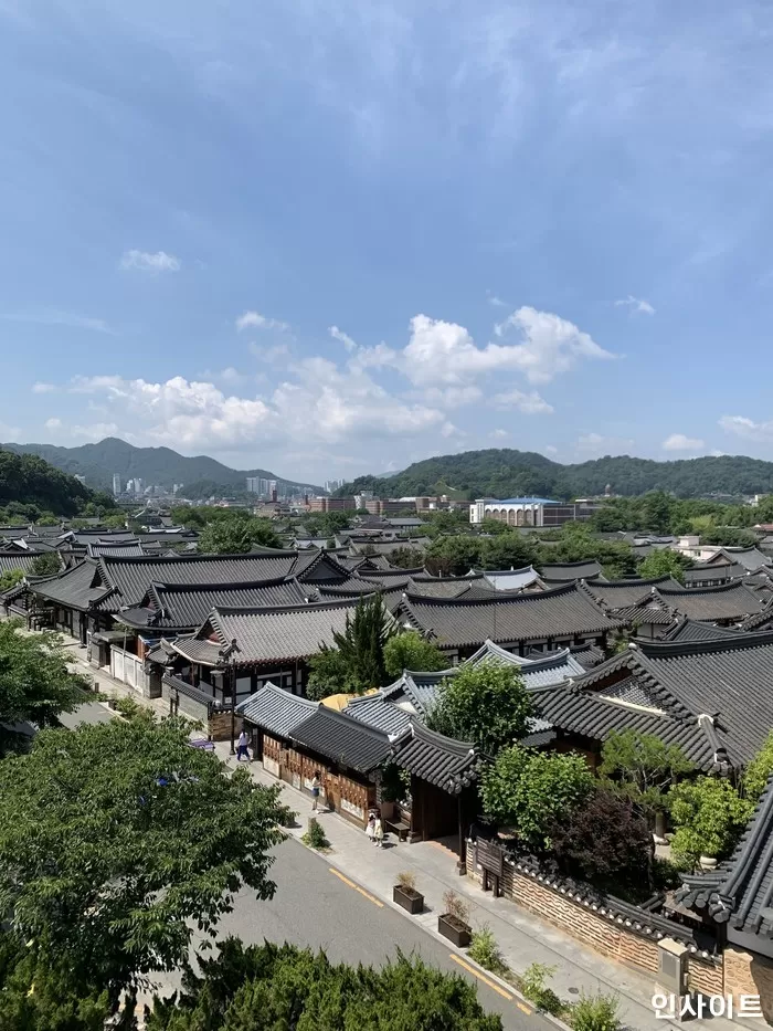 인사이트