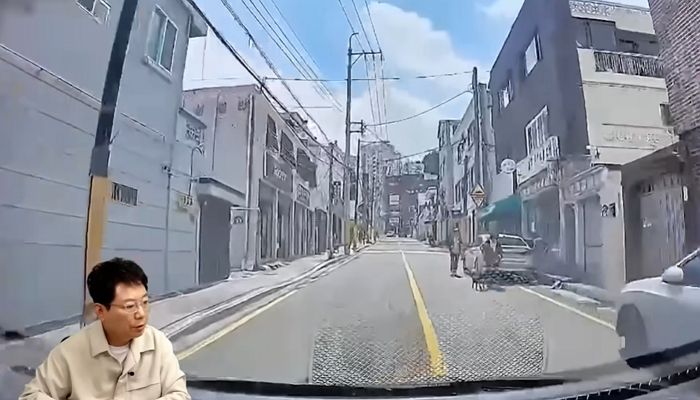 차량으로 갑자기 달려든 강아지...견주는 치료비 700만원 달라며 ‘소송’ 제기 (영상)