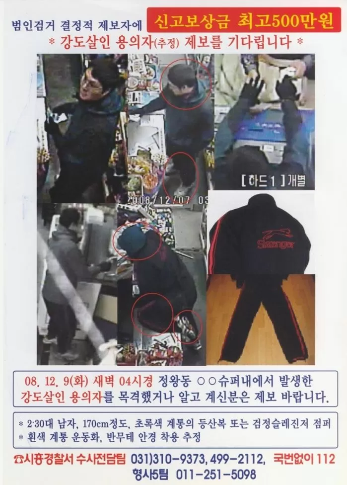 인사이트