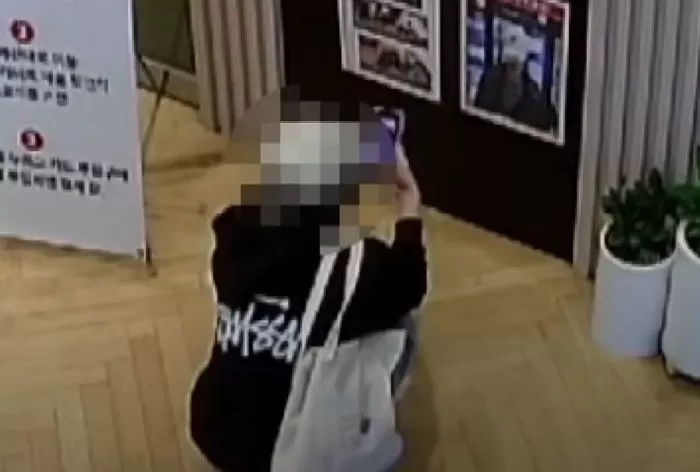 인사이트
