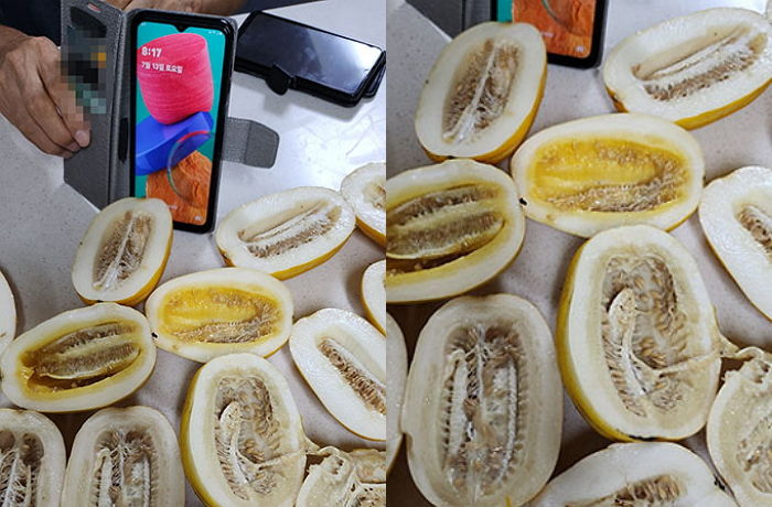 “제주 한 오일장서 참외 10개 사왔는데...전부 ‘다’ 썩어 있었습니다”