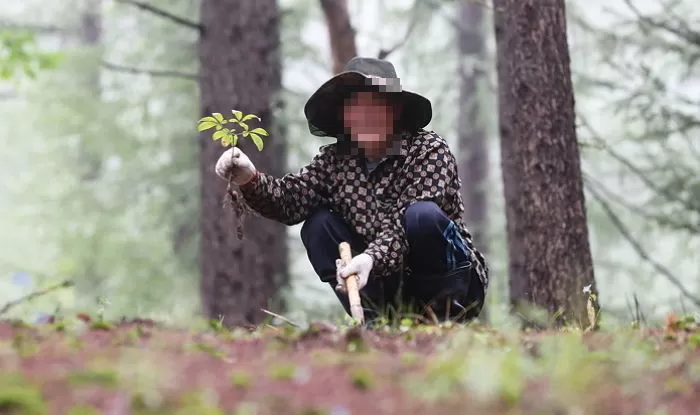 기사와 관련 없는 자료 사진 / 뉴스1