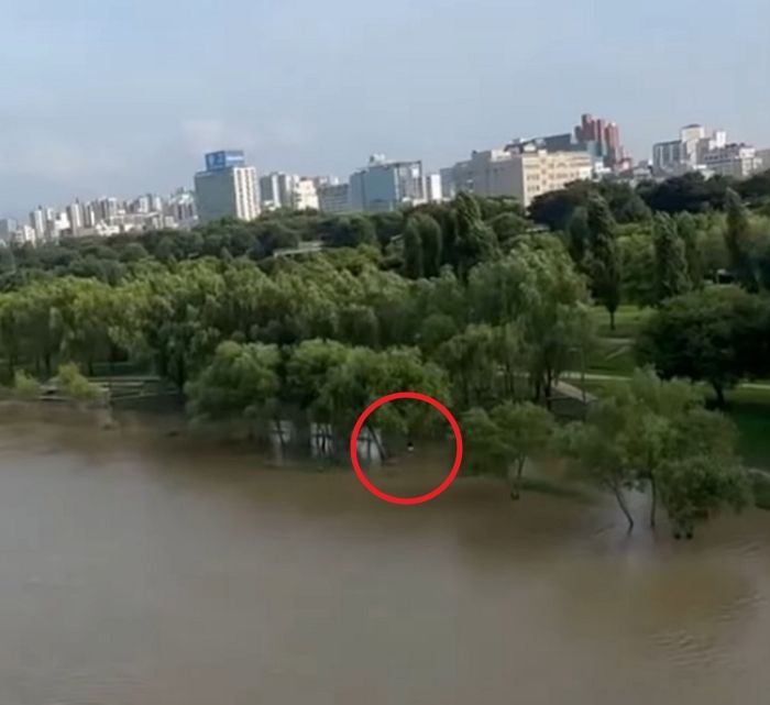 폭우로 통행금지된 한강공원서 포착된 ‘민폐 낚시남’... 분노한 누리꾼들 반응