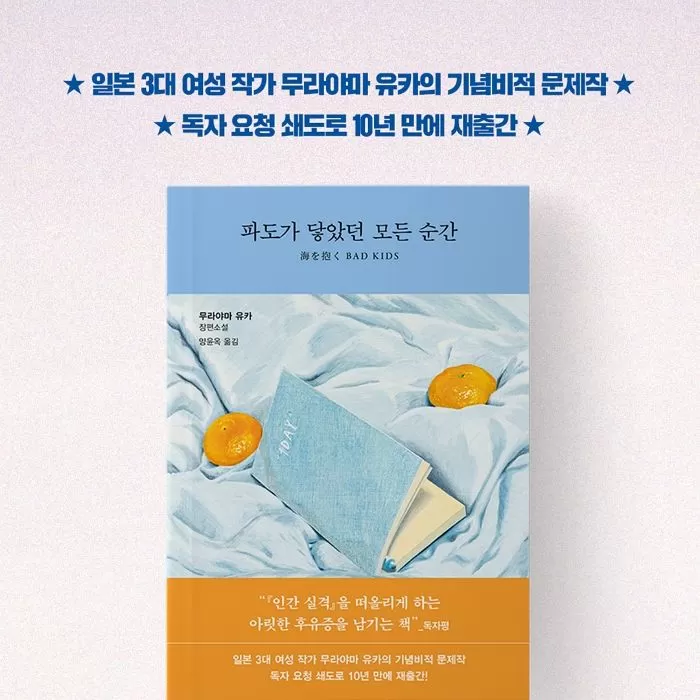 인사이트