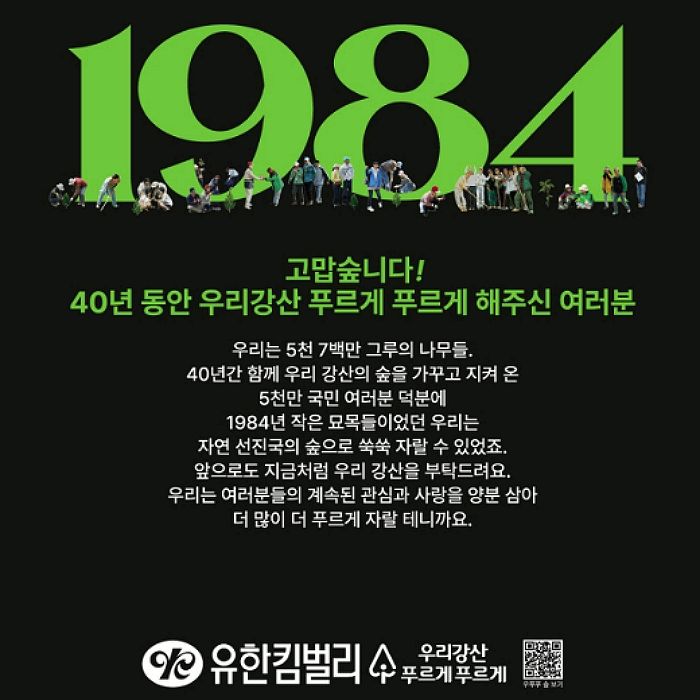 나무 심어 가꾼 숲만 ‘여의도 56배’ 크기... 유한킴벌리의 ‘우리강산 푸르게 푸르게’ 40년