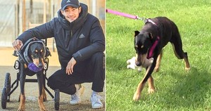 지극정성 이미지