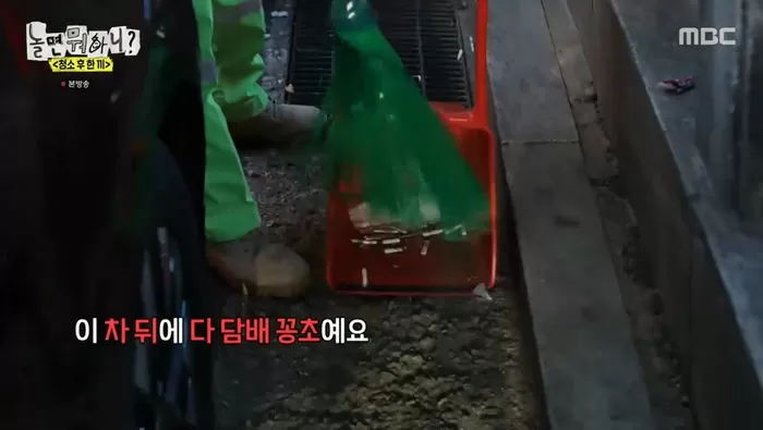 인사이트