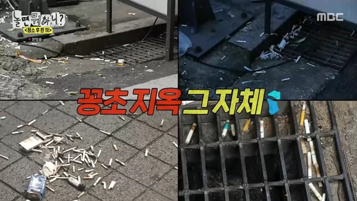 인사이트