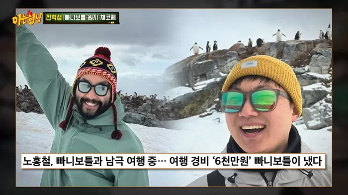 인사이트