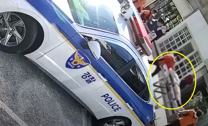 인사이트