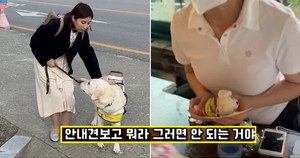 보고식당 이미지