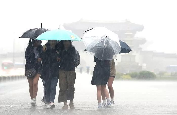 기사와 관련 없는 자료 사진 / 뉴스1