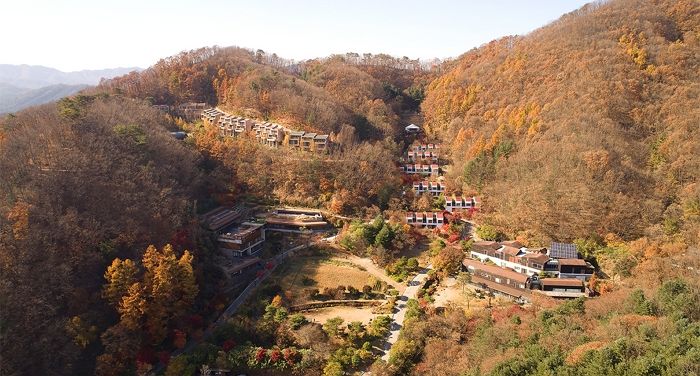 ‘몸의 컨트롤 타워’ 뇌 깨끗하게 해주는 ‘뇌 건강 힐링 캠프’, 홍천 선마을서 개최