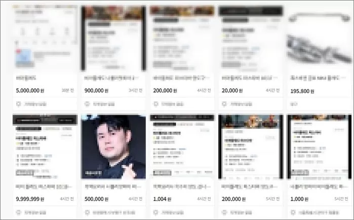 인사이트